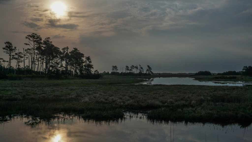 Chincoteague Island, Virginia