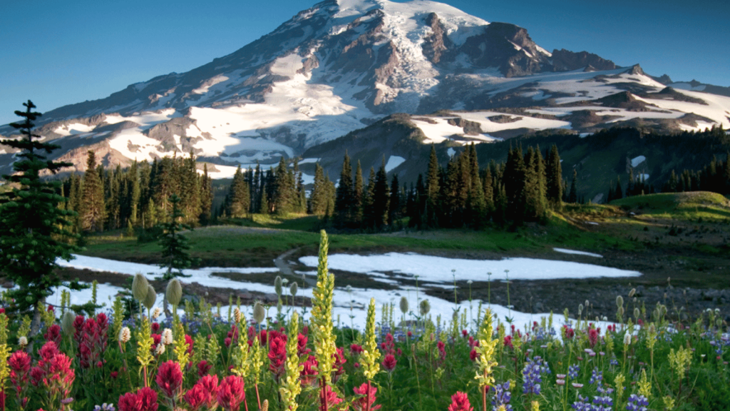 Mount Rainier National Park, Washington