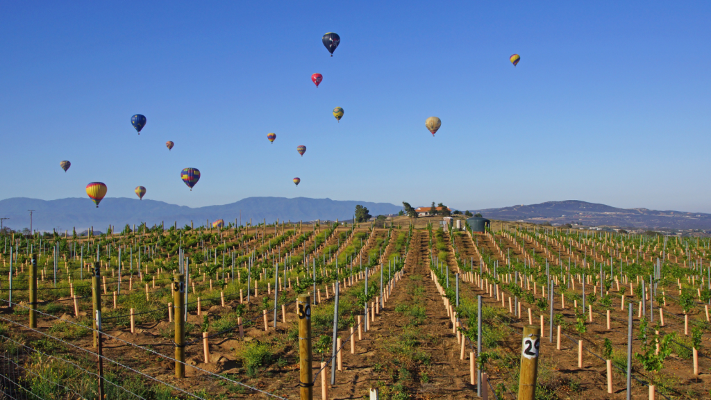 Temecula Valley Balloon and Wine Festival