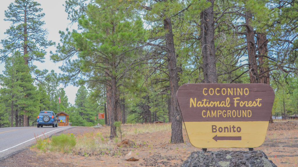 Coconino National Forest