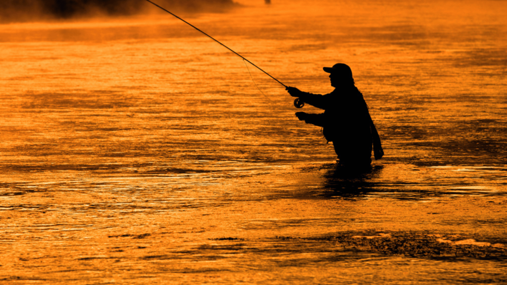 Yellowstone River, Montana/Wyoming