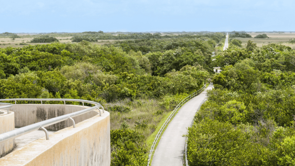 Shark Valley (Miami, Florida)