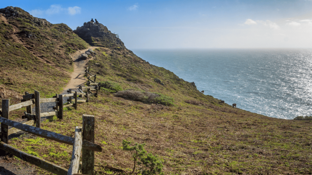 Coast Trail, Point Reyes National Seashore, California