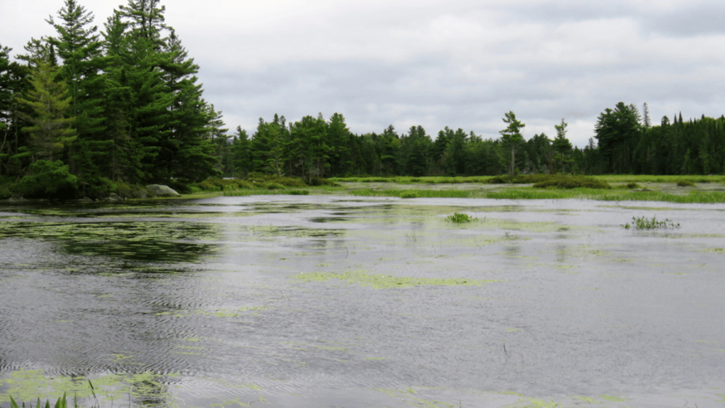 Allagash Wilderness Waterway (Maine)