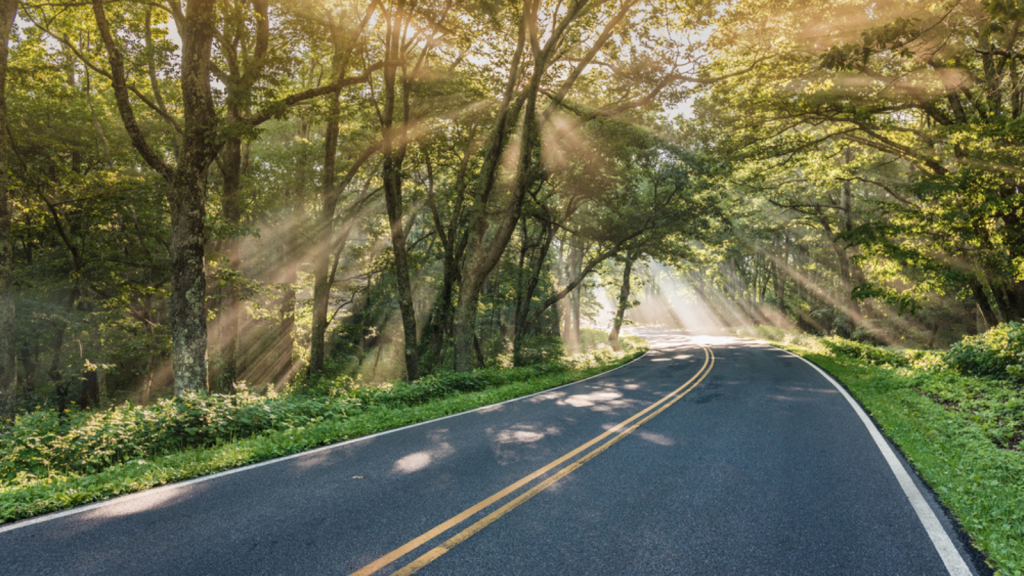 Shenandoah to Great Smoky Mountains, Appalachian Mountains