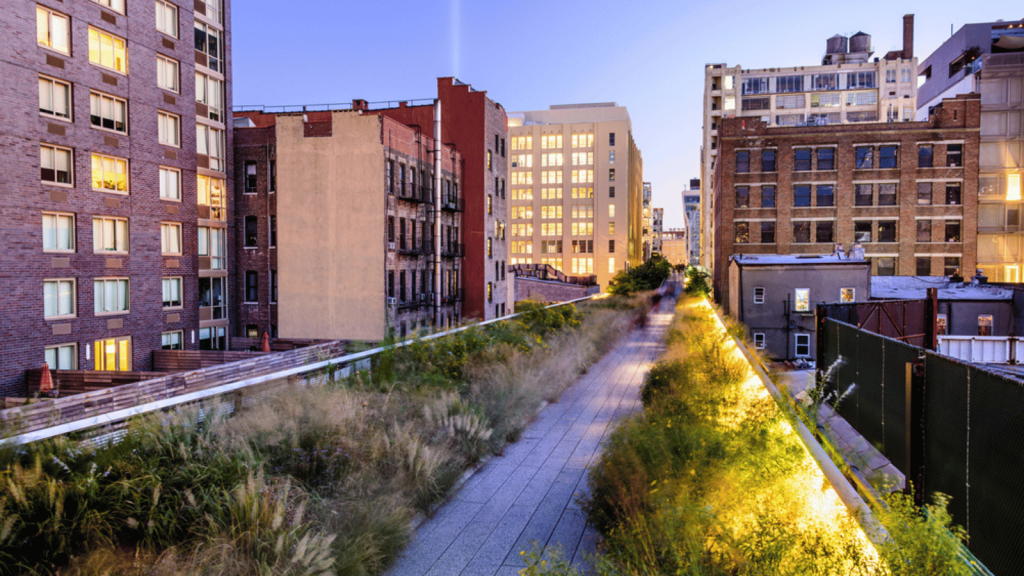 Beyond the Concrete: Rediscovering Nature in Urban Spaces