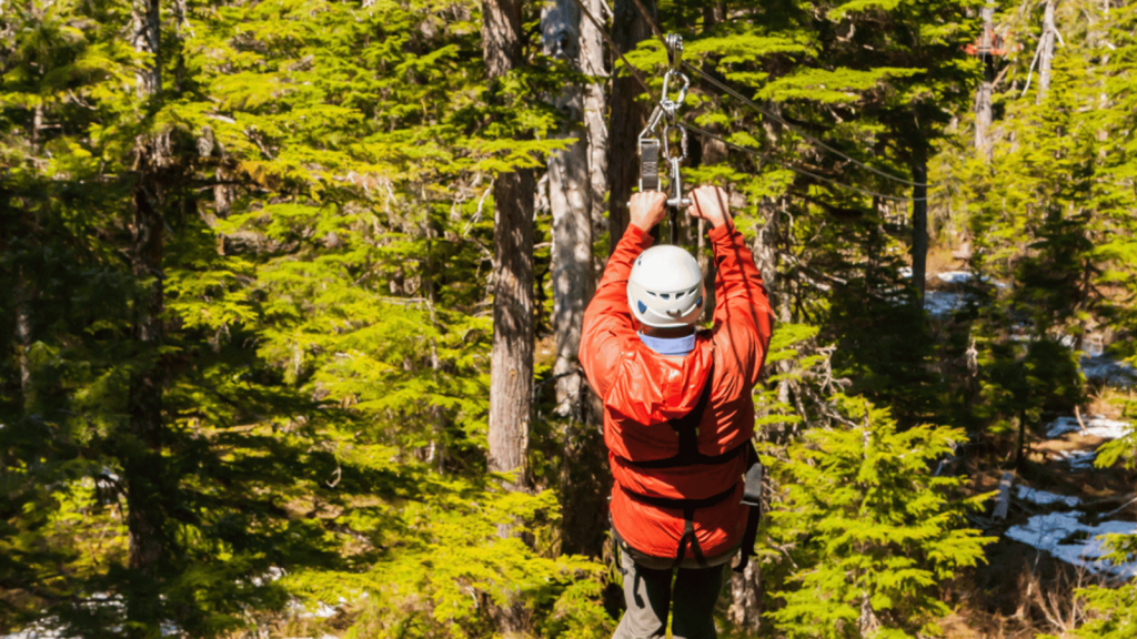 Alaska Zipline Adventures