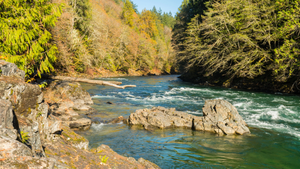 Skagit River (Washington)