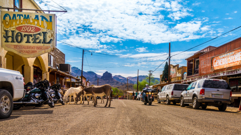 Oatman, Arizona