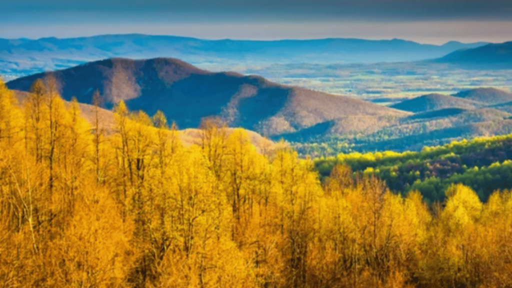 Skyline Drive, Shenandoah National Park (Virginia)