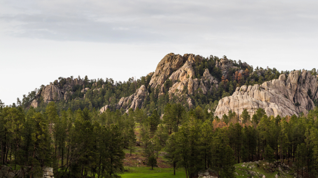 Black Hills to Badlands, South Dakota