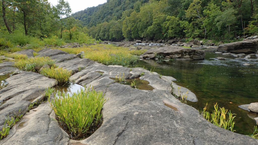 Gauley River (West Virginia)