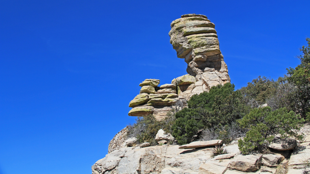 Coronado National Forest