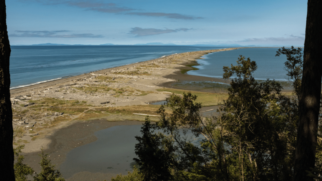 Dungeness Spit, Washington