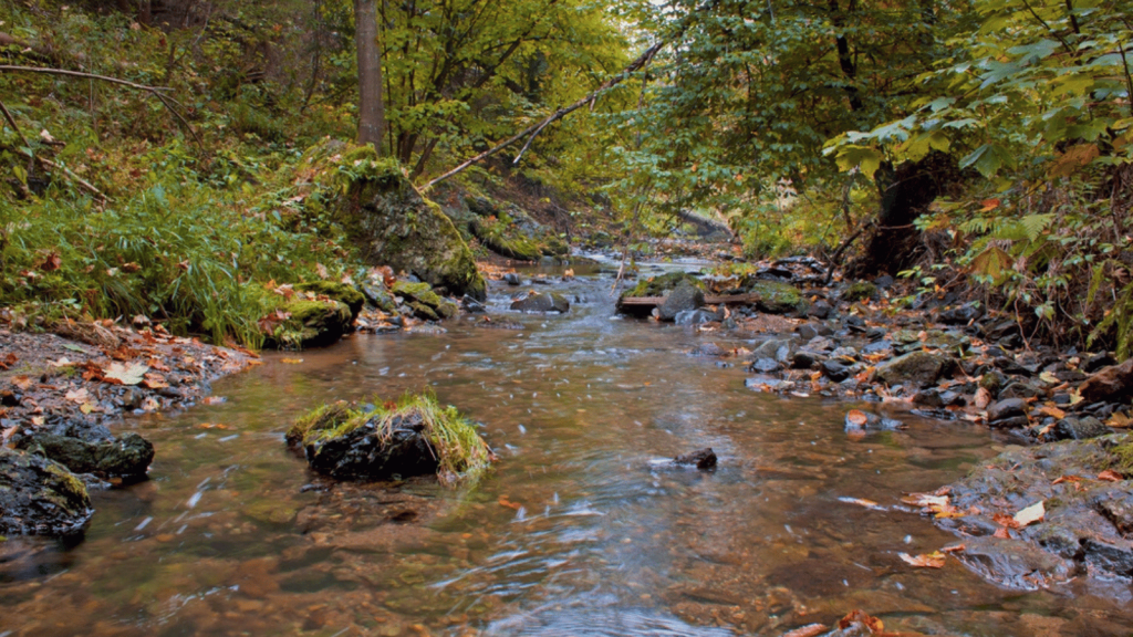 Wissahickon Valley Park (Philadelphia, Pennsylvania)