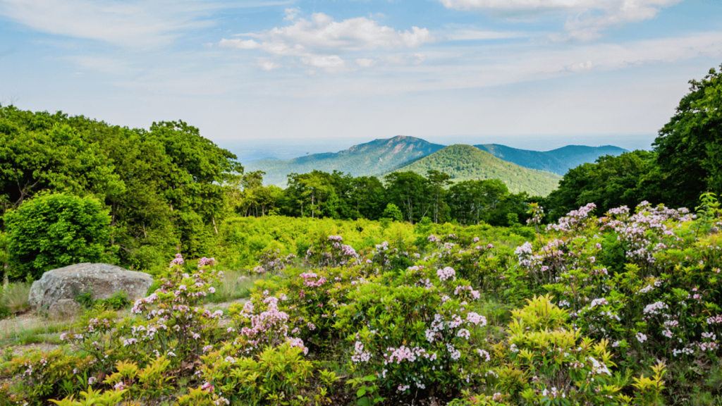 Shenandoah National Park, Virginia