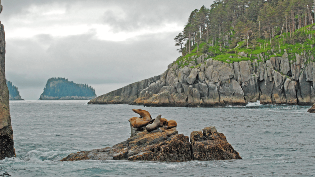 Kenai Fjords National Park