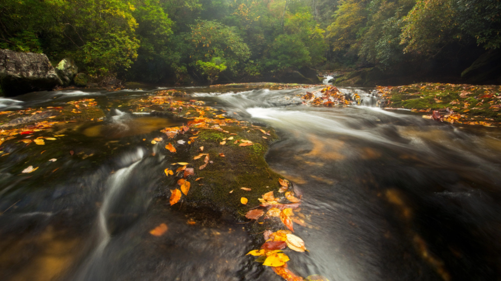 Chattooga River (Georgia/South Carolina)