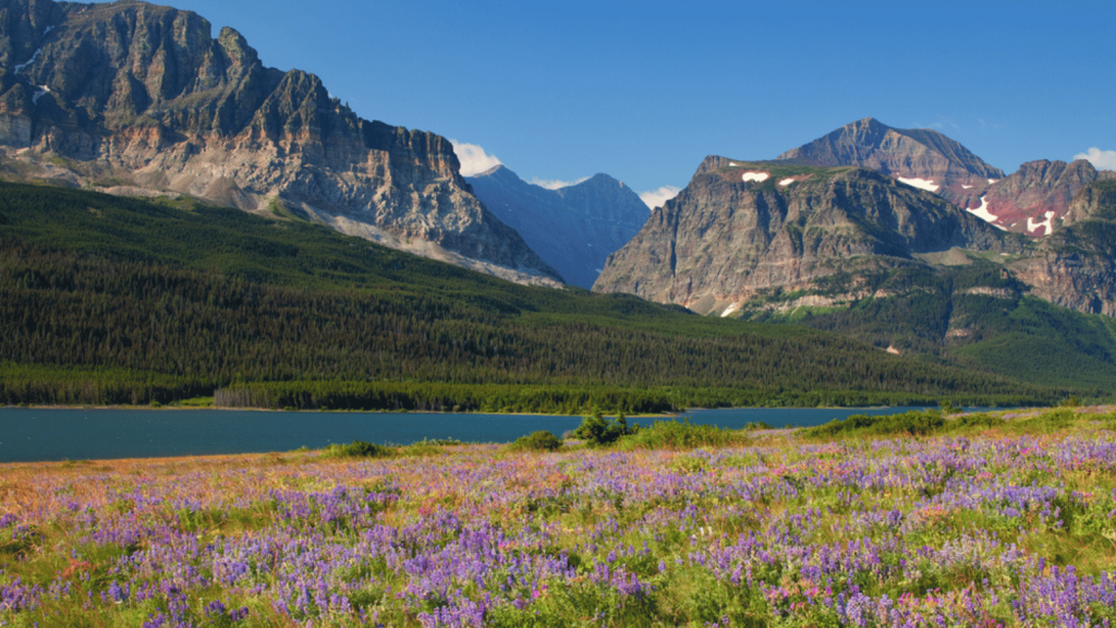 Glacier National Park, Montana