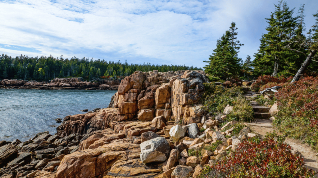 Ocean Path, Acadia National Park, Maine