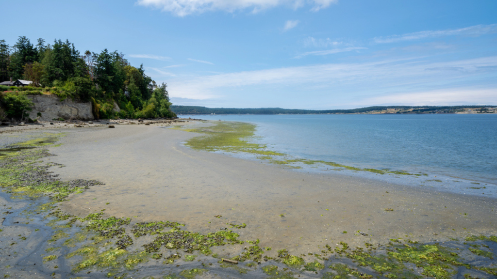 Whidbey Island, Washington