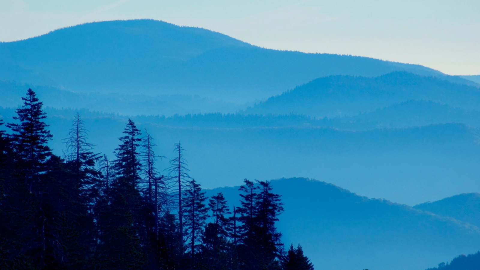 Clingmans Dome, Great Smoky Mountains National Park (Tennessee/North Carolina)