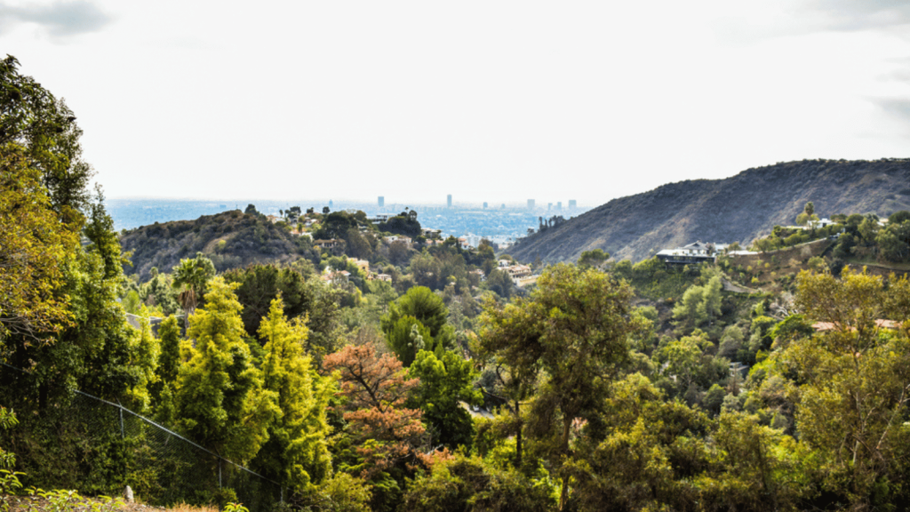 Runyon Canyon Park (Los Angeles, California)