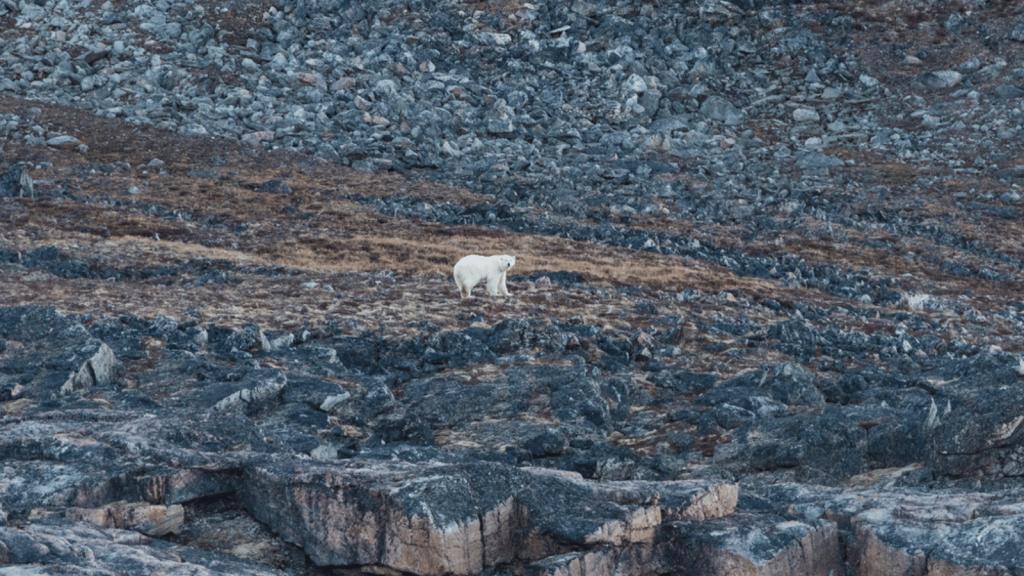 Arctic National Wildlife Refuge