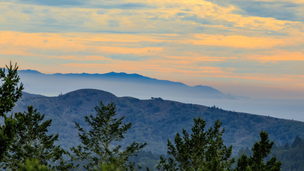 Mount Tamalpais State Park (San Francisco Bay Area, California)