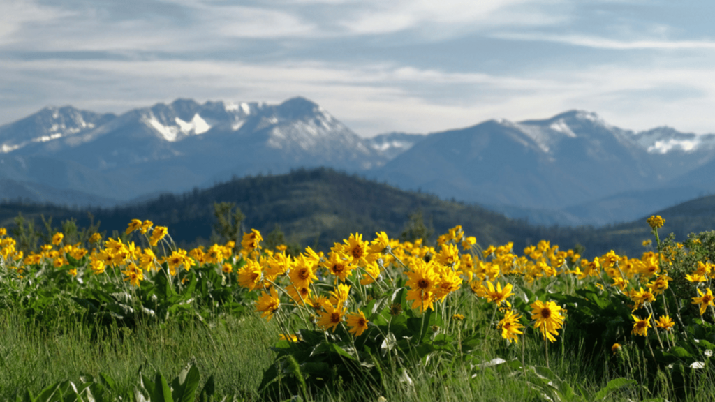 North Cascades National Park, Washington