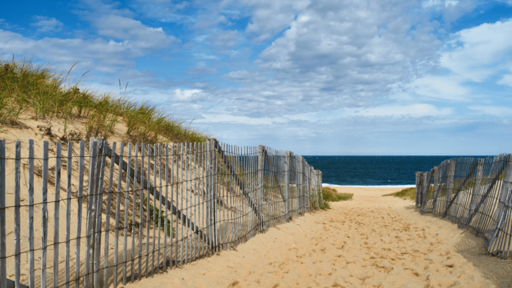 Wildcat Trail, Cape Cod National Seashore, Massachusetts