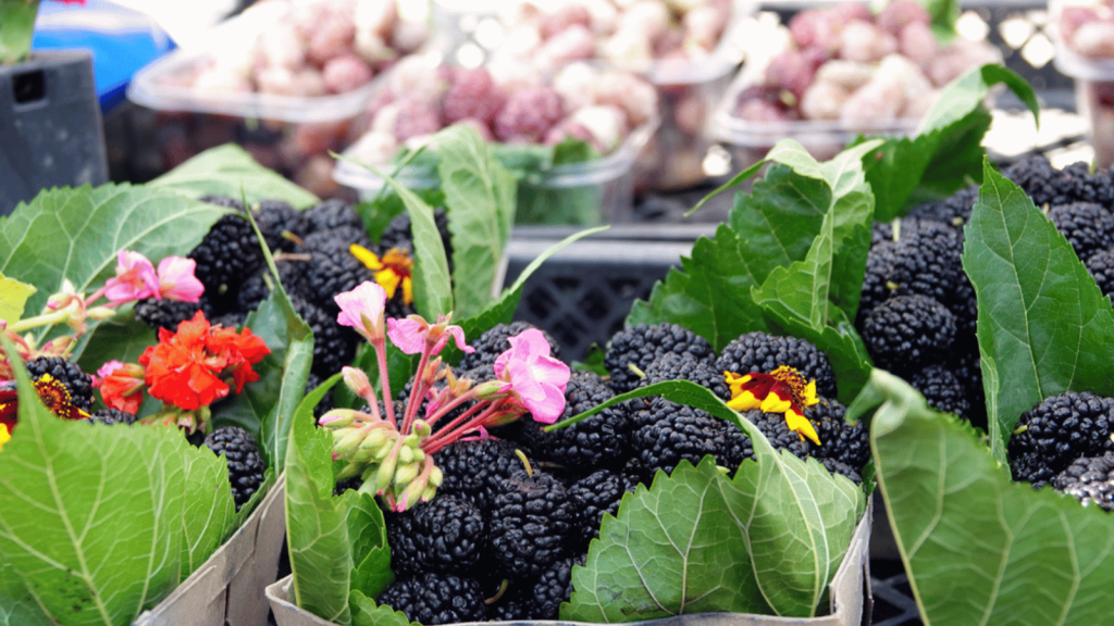 New Hope Farmers Market (New Hope, Pennsylvania)