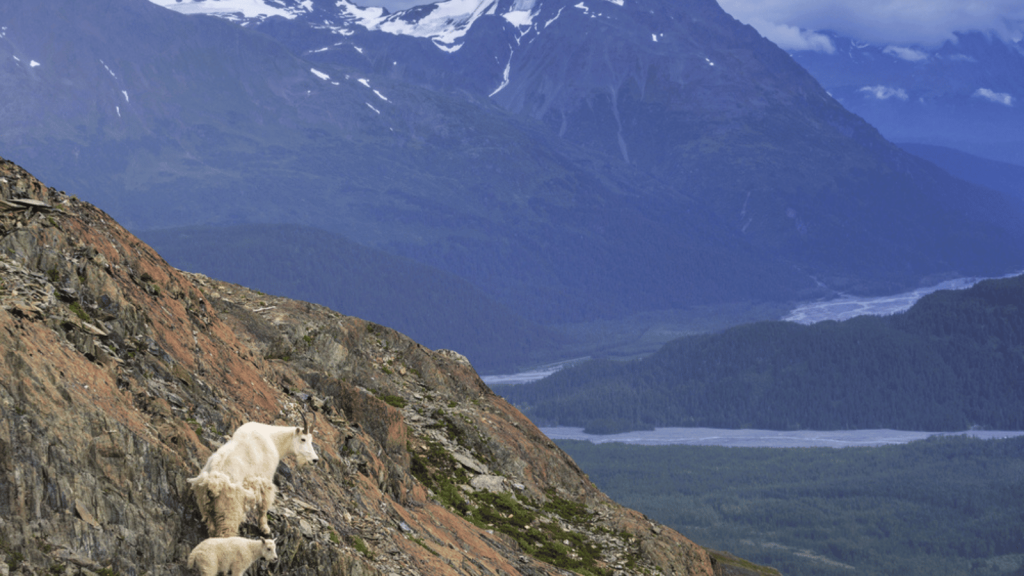 Wrangell-St. Elias National Park and Preserve