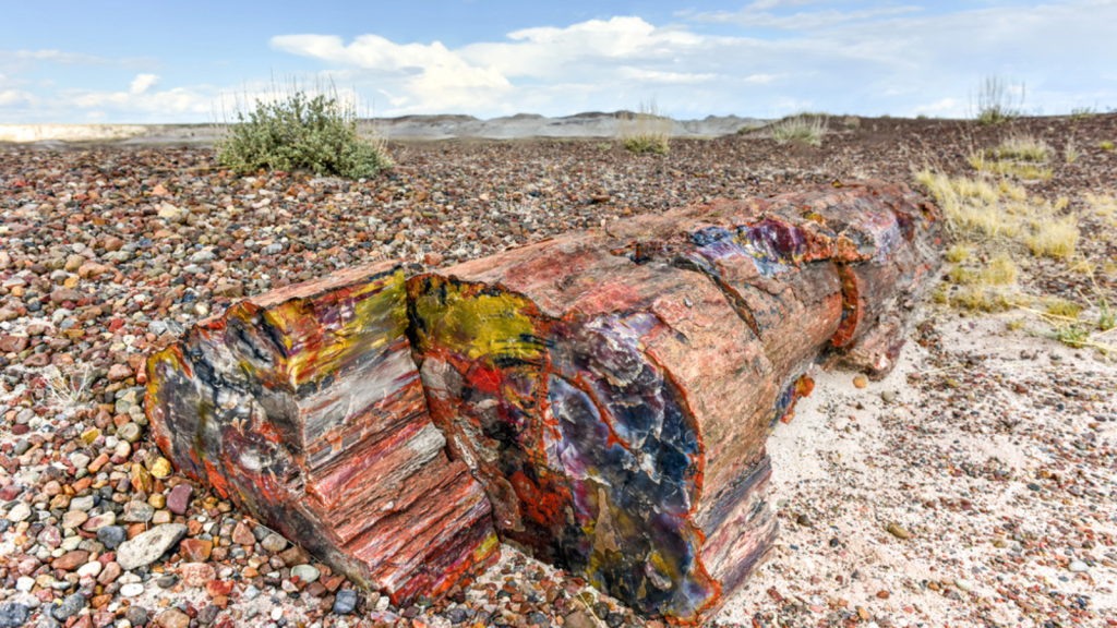 Petrified Forest National Park, Arizona