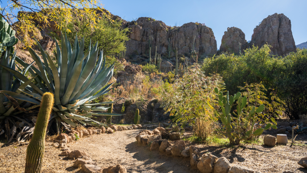 Boyce Thompson Arboretum