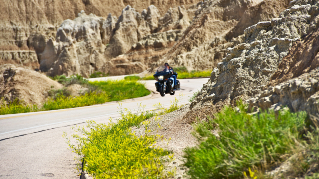 Badlands to Yellowstone, Great Plains to the Rockies