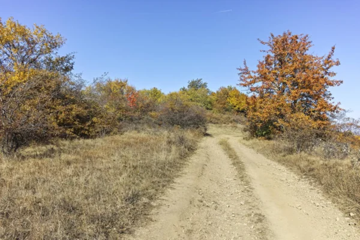 Andrews Bald via Forney Ridge Trail