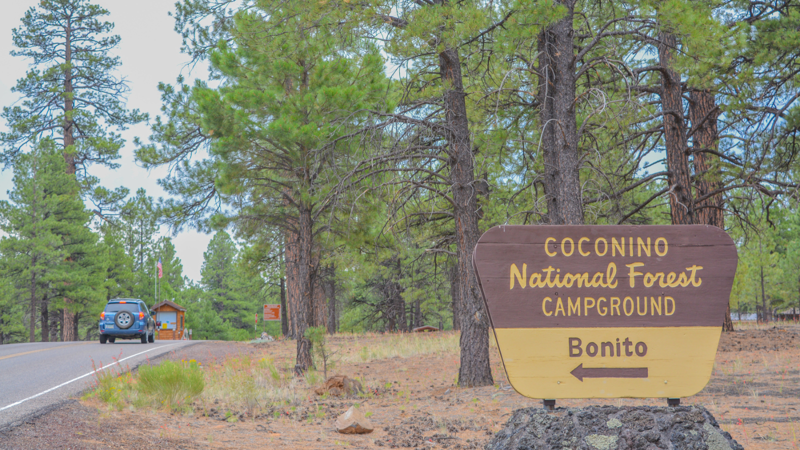 Coconino National Forest