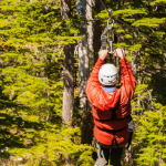 Alaska Zipline Adventures