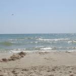Coligny Beach Park, Hilton Head Island, South Carolina